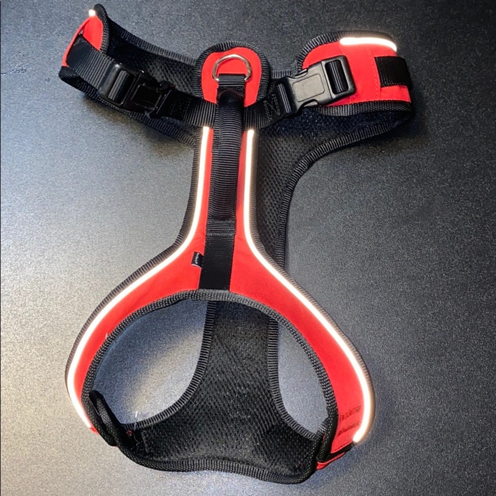 Petsafe harness